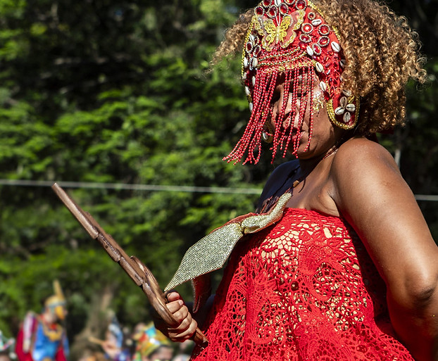 2026-02-14_Carnaval 2026 Bloco da Terreirada__eppinghaus_foto-277.jpg