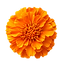 ChatGPT Image Jun 10, 2026, 11_47_48 PM.png