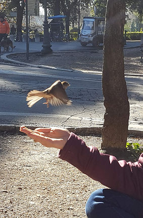 20190129_121659.jpg
