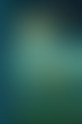 Percy Jackson and The Lightning Thief