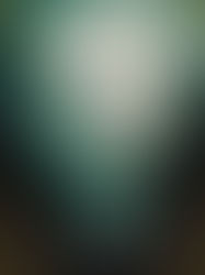One Dark Window