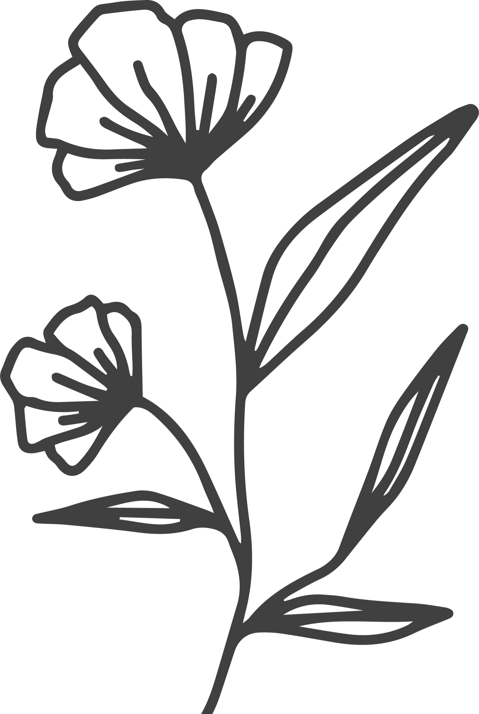 Gift Card Oliveandgrace