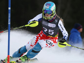 alpine 4.jpeg