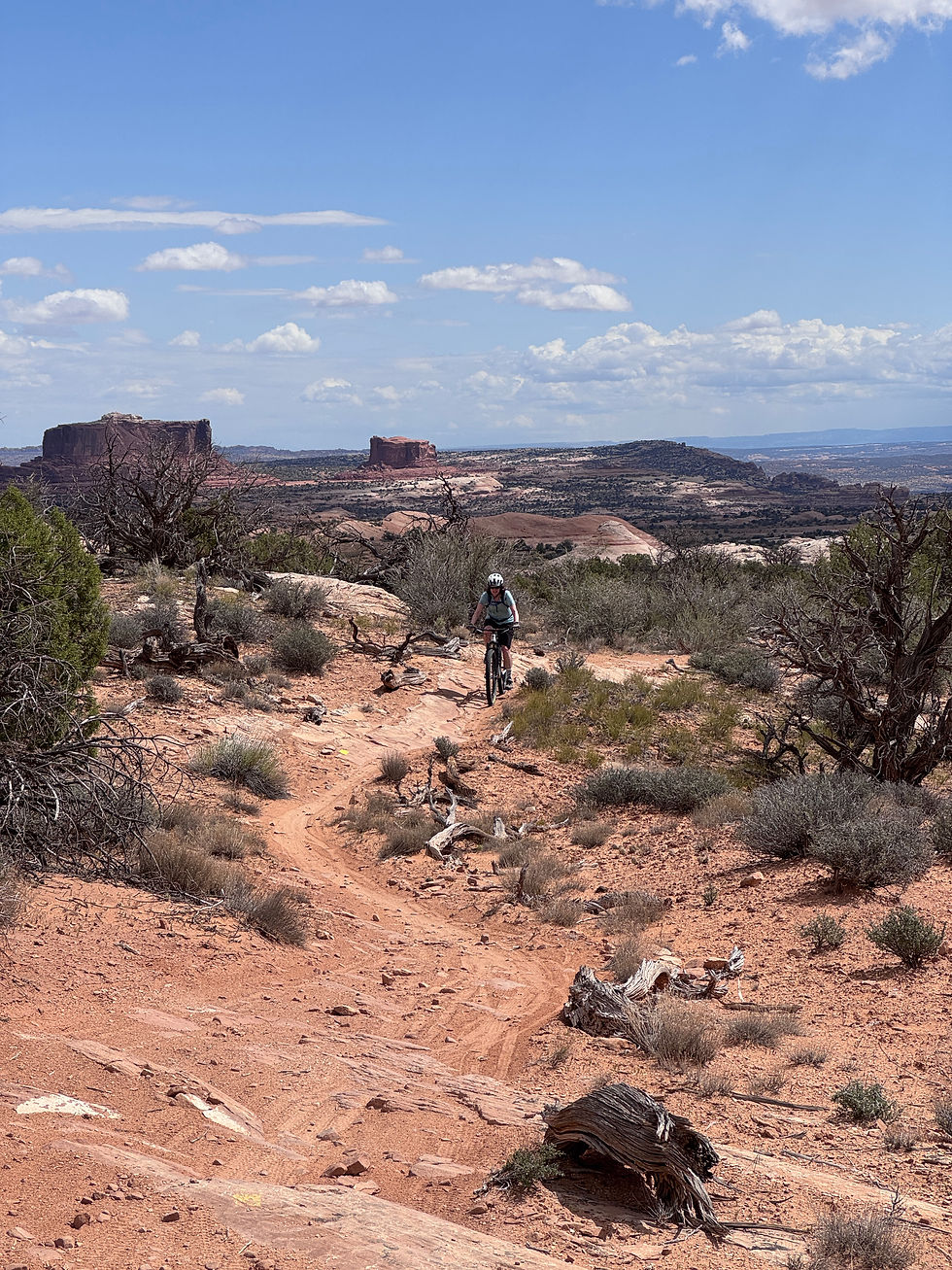 Big Mesa Loop