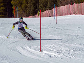 alpine 2.jpeg