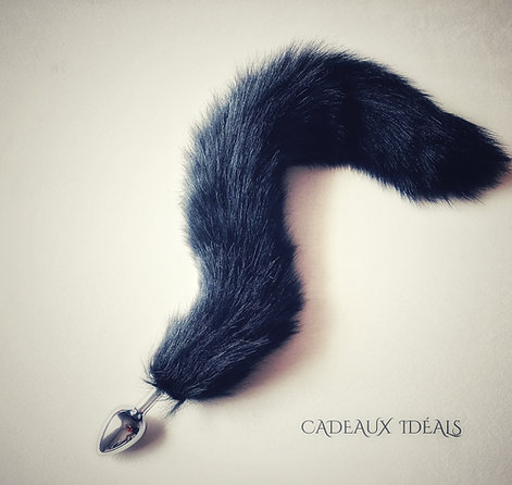 PLUG ANAL QUEUE NOIR