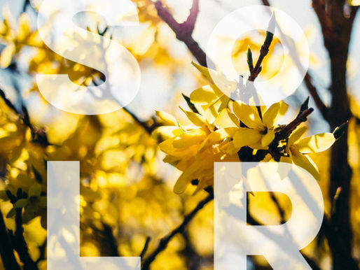 SoLR March 2026 Update