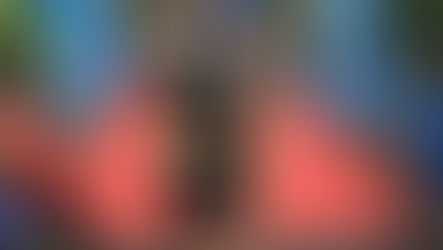 Vegetarian Triathlete completes his first Half Ironman Triathlon!