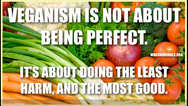 Veganism is not about being perfect