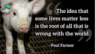 Quote by Paul Farmer