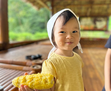 Josephine odelia organic corn.JPG