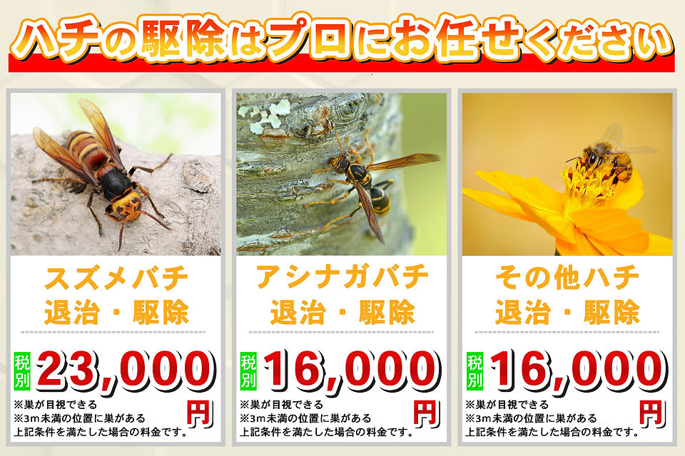 北上市蜂の巣駆除 花巻市蜂の巣駆除 奥州市蜂の巣駆除 岩手県蜂の巣駆除 ハチの巣駆除 はちの巣駆除 蜂の巣除去 蜂の駆除 ハチの駆除 はちの駆除 岩手県最安値 害虫駆除 蜂のトラブル ハチのトラブル はちのトラブル