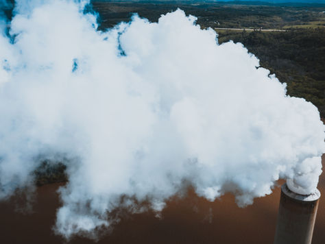 The Future of Carbon Credits: Market Trends, Challenges, and Path to Revival