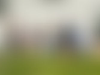 🌿 Rückblick auf unseren Social Day 2026 – Gemeinsam etwas bewegt!