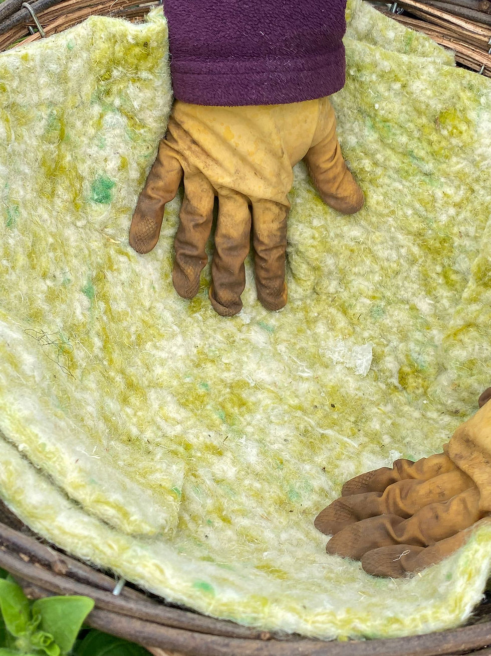 shaping-wool-liner-in-basket.jpg