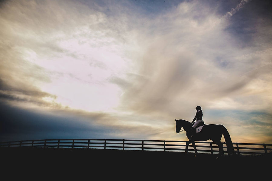 HORSE VALUATION