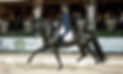 MEL MONTAGANO GRAND PRIX DRESSAGE TRAINER AND RIDER
