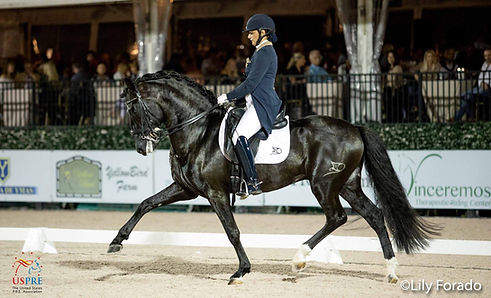 MEL MONTAGANO GRAND PRIX DRESSAGE TRAINER AND RIDER