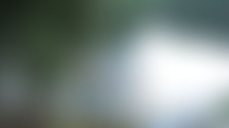 INTERCAMBIO DE EXPERIENCIAS