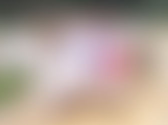 El Nacimiento de una Tradición: Las Amazonas del Encanto Cabalgan Hacia el Futuro