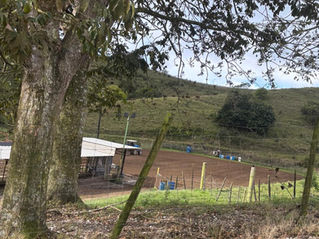 Entre Amigos y Barriles - Febrero 22, 2026