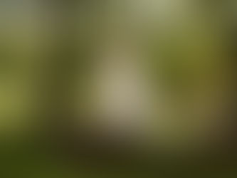 Cercle de femmes Bretagne