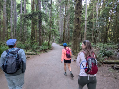 three people starting a hike through a forest