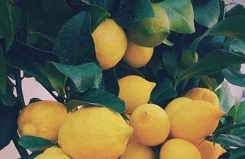 Lemons_edited.jpg