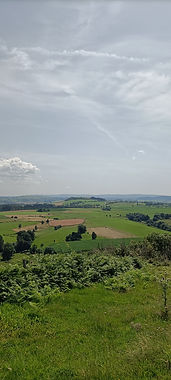 IMG20210812134404.jpg
