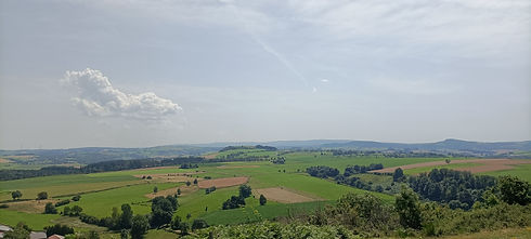 IMG20210812134356.jpg