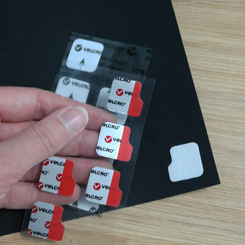 Thumbnail: Abstract Animals