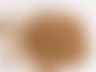 16th Sunday in Ordinary Time