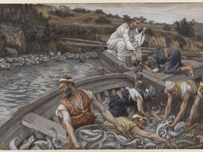 5th Sunday in Ordinary Time