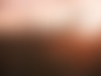 11th Sunday in Ordinary Time