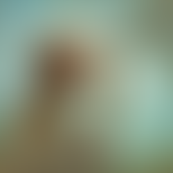 23rd Sunday in Ordinary Time