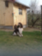 20190405_170756