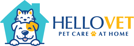 HelloVet - Pet Care at Home - Veterinarian in Jacksonville