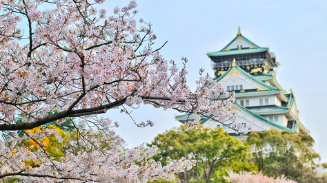 Osaka, Japan: A Culinary and Cultural Gem for the Discerning Traveler