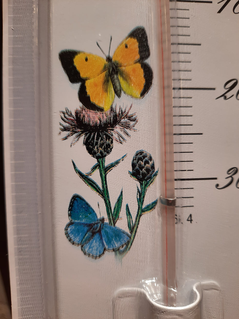 Miniature : Thermomètre intérieur/extérieur papillons.