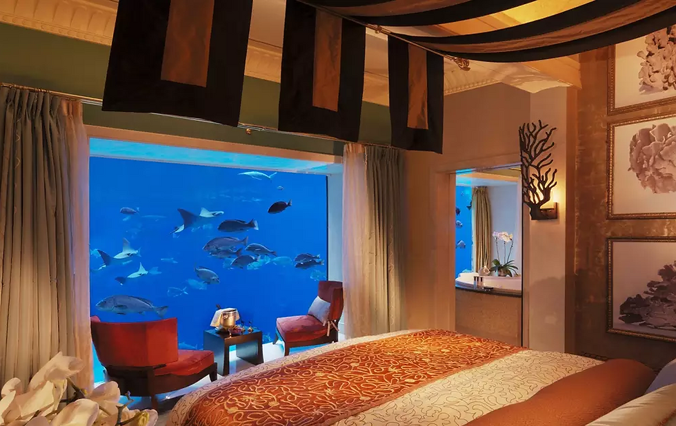 capture-20181222-150117