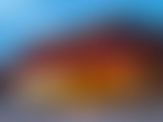 HOME DEPOT: НАЙБІЛЬША DIY-МЕРЕЖА СВІТУ