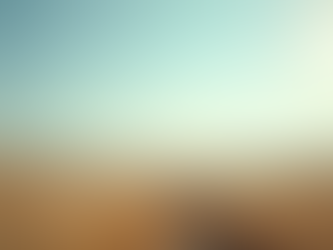 Enhance Global Mobility through Trusted Citizenship Solutions