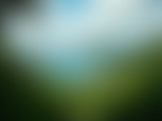 Your Guide to Dominica Citizenship by Investment Program