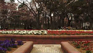 2006-kotaro-tanaka