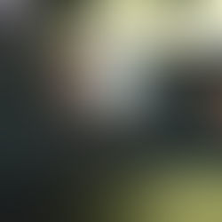 作品レビュー「118.5km／6分」執筆：内藤慈