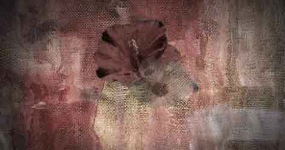 2005-yusuke-tsutsumi