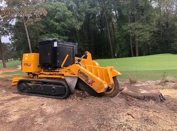 Large orange and black stump grinding machine with treads and a grinding disc which spins as it cuts into a tree stump.