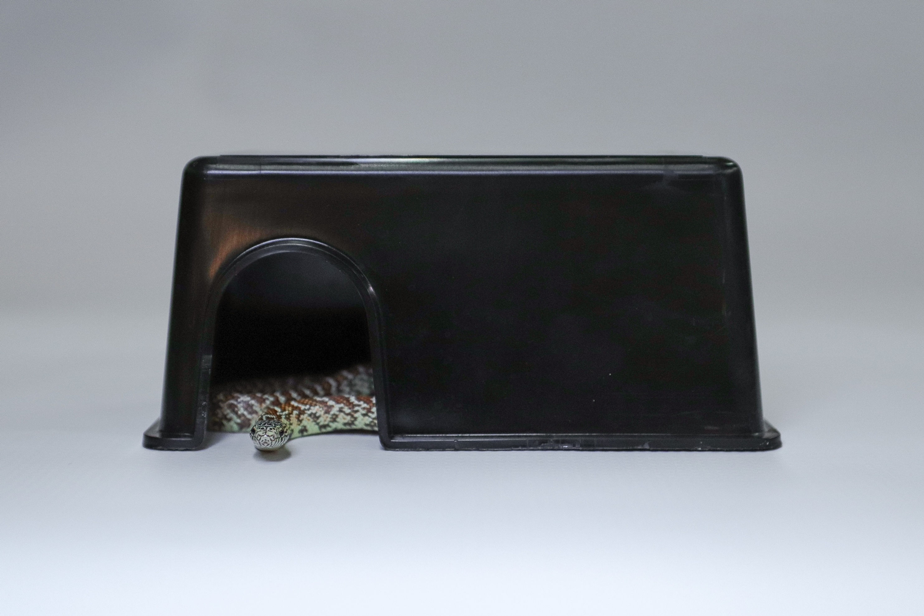 Humidity Hut Small Hide Box