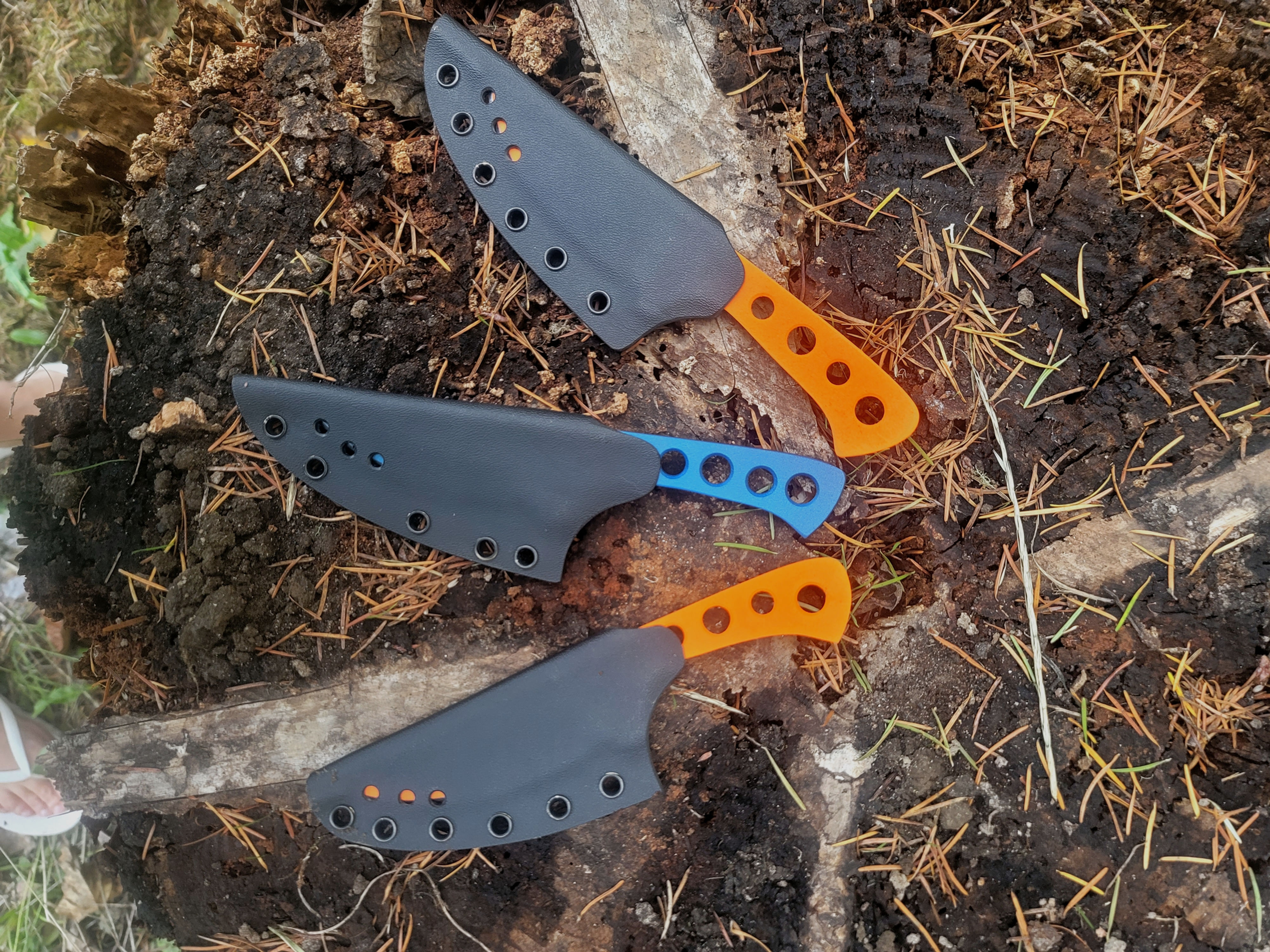 Bird & Trout - orange