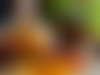 Preservative-free Masala: Pechi Foods Culinary Insights